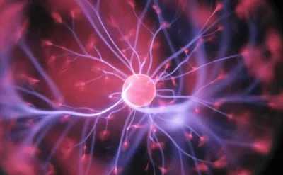 Alzheimer Research Management System